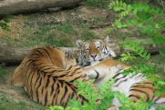 Výlet do ZOO Lešná 02.6.2012