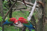 Výlet do ZOO Lešná 02.6.2012