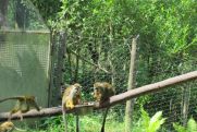 Výlet do ZOO Lešná 02.6.2012