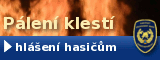 Paleni klesti